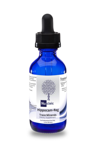 Hippocam-Reg